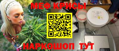 крисы Кунгур